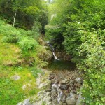 Durch den Wald am Wasserfall vorbei