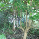 Der biologische Fahrradständer