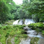 Einwasserfall im Park