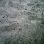 Der Strand von Malibu