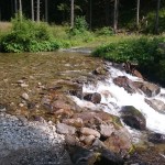 Ein bescheidener Wasserfall