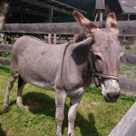 Er war mir gleich sympathisch