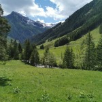 Weg zum Dürrmooswasserfall, 1203m Weg zum Dürrmooswasserfall