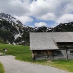 Ursprungalm, 1604m Ursprungalm