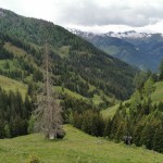 Blick Richtung Hüttschlag von der Draugsteinalm, 1778m Draugsteinalmen
